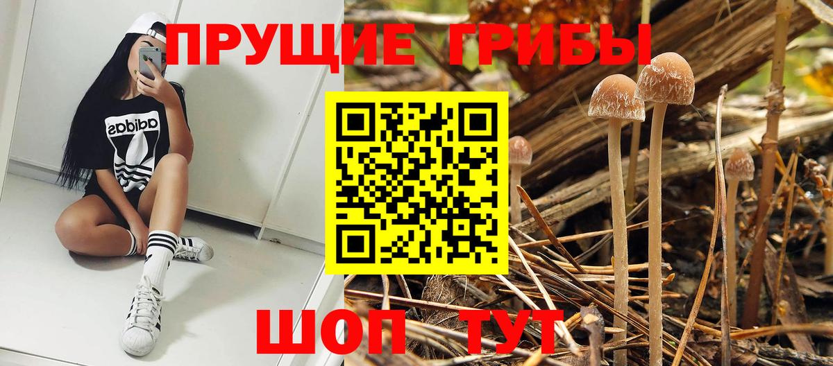 Галлюциногенные грибы Psilocybine cubensis  Вход с VPN  Учалы 